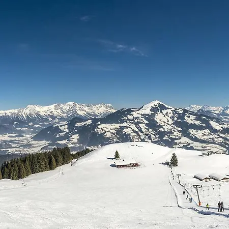 Hohlrieder 535w